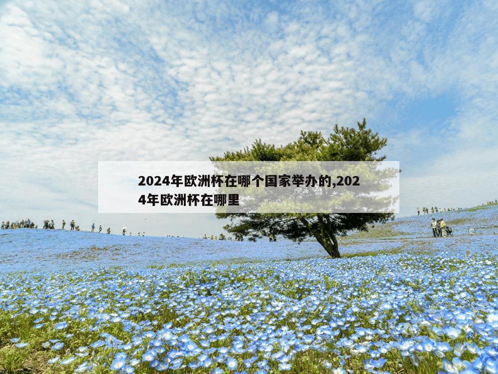 2024年欧洲杯在哪个国家举办的,2024年欧洲杯在哪里