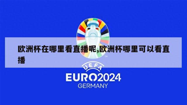 欧洲杯在哪里看直播呢,欧洲杯哪里可以看直播