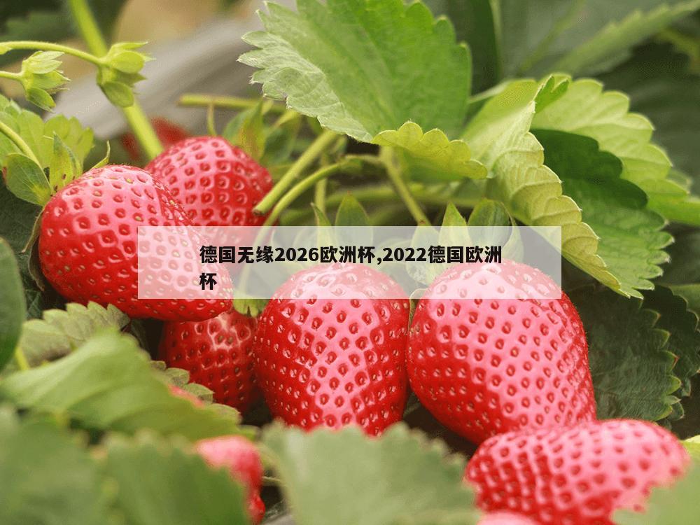 德国无缘2026欧洲杯,2022德国欧洲杯