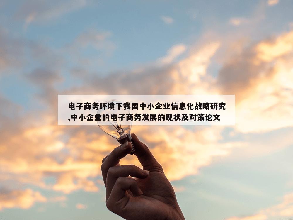 电子商务环境下我国中小企业信息化战略研究,中小企业的电子商务发展的现状及对策论文