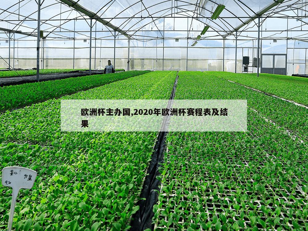 欧洲杯主办国,2020年欧洲杯赛程表及结果