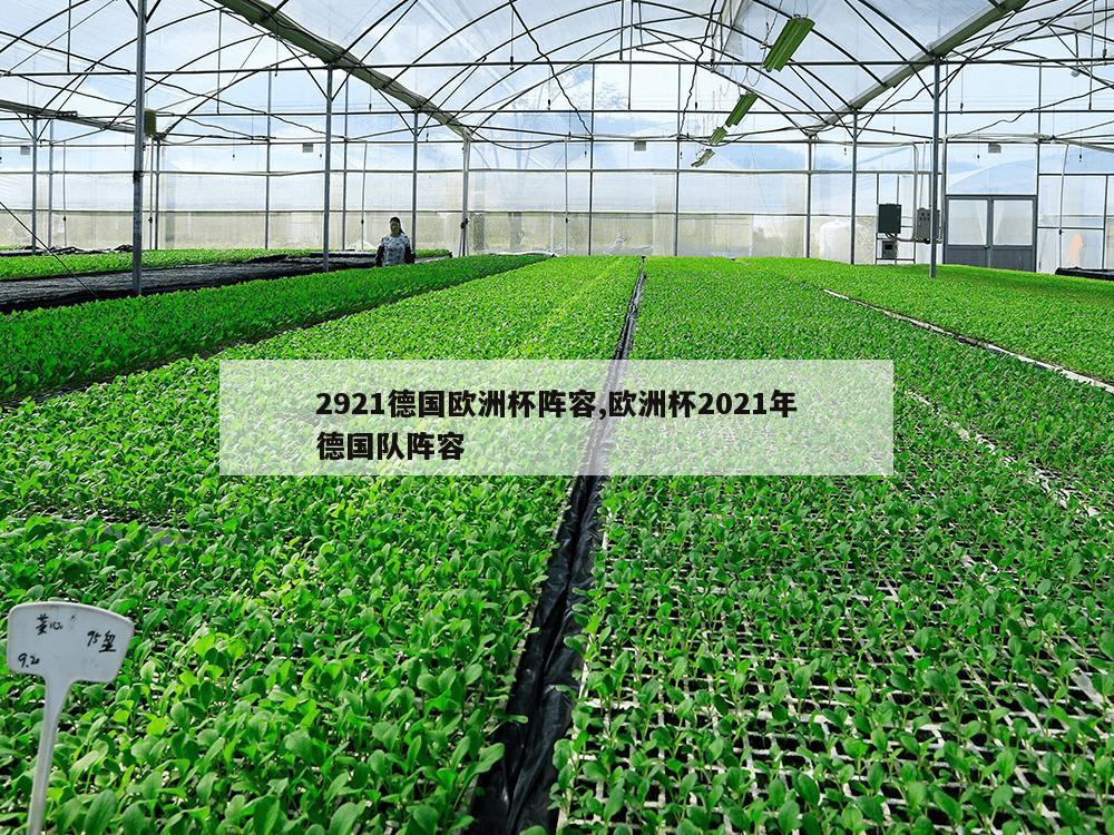 2921德国欧洲杯阵容,欧洲杯2021年德国队阵容