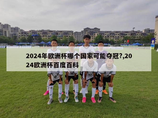 2024年欧洲杯哪个国家可能夺冠?,2024欧洲杯百度百科