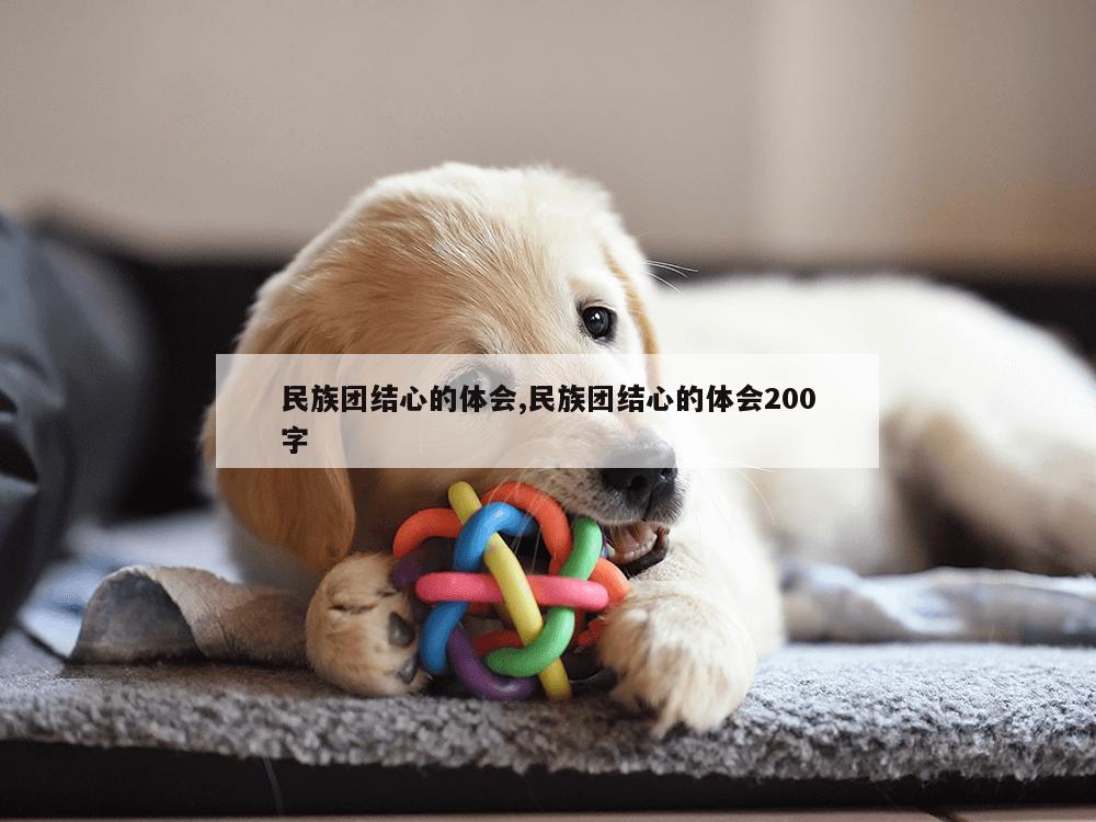 民族团结心的体会,民族团结心的体会200字