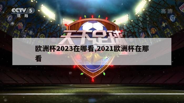 欧洲杯2023在哪看,2021欧洲杯在那看