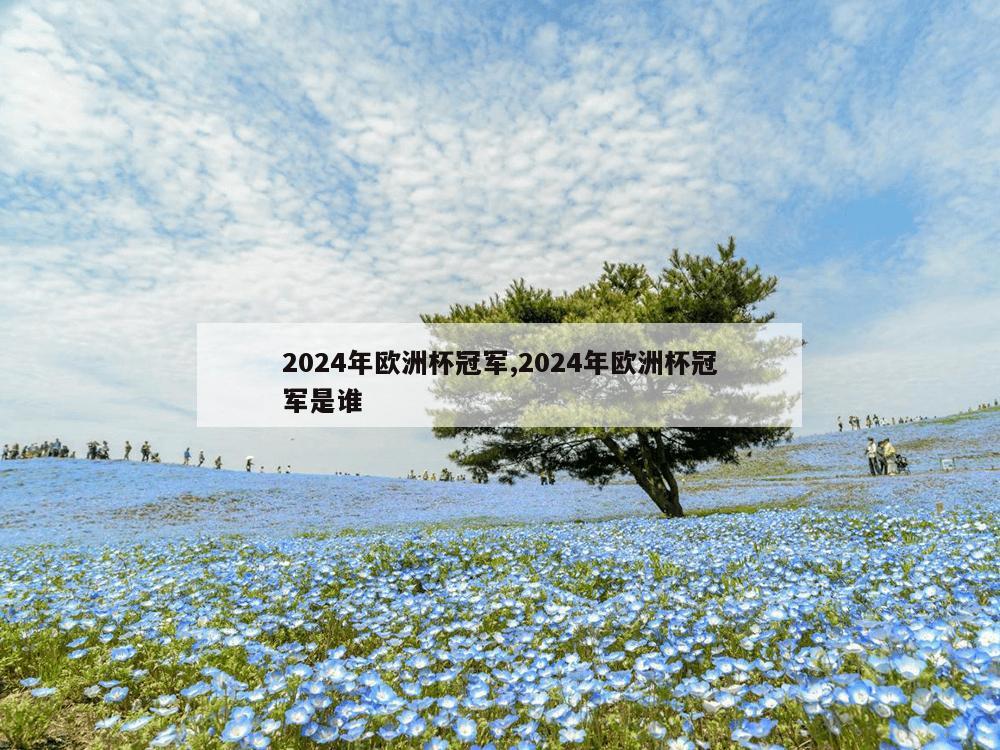 2024年欧洲杯冠军,2024年欧洲杯冠军是谁