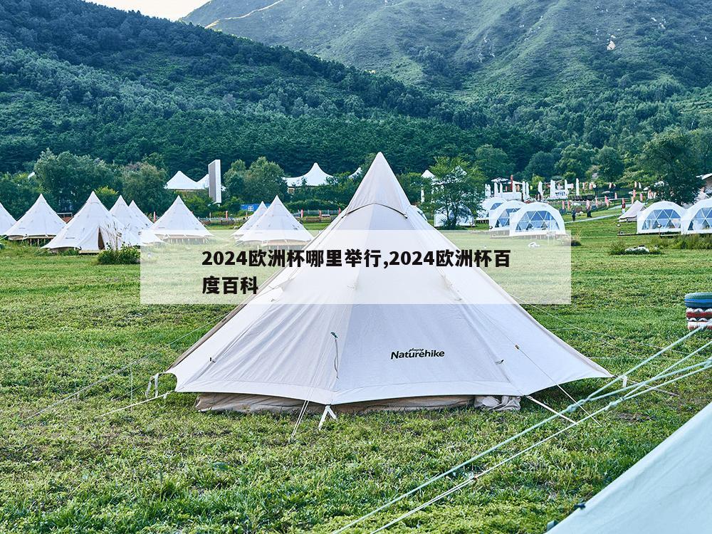 2024欧洲杯哪里举行,2024欧洲杯百度百科