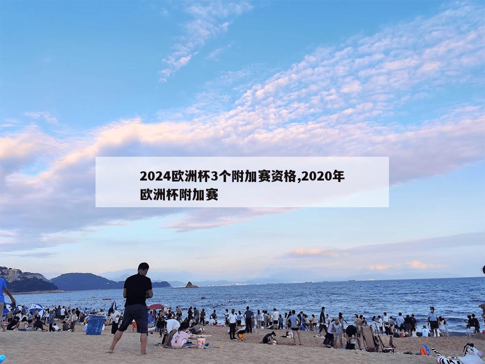 2024欧洲杯3个附加赛资格,2020年欧洲杯附加赛