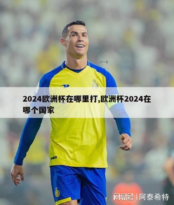 2024欧洲杯在哪里打,欧洲杯2024在哪个国家