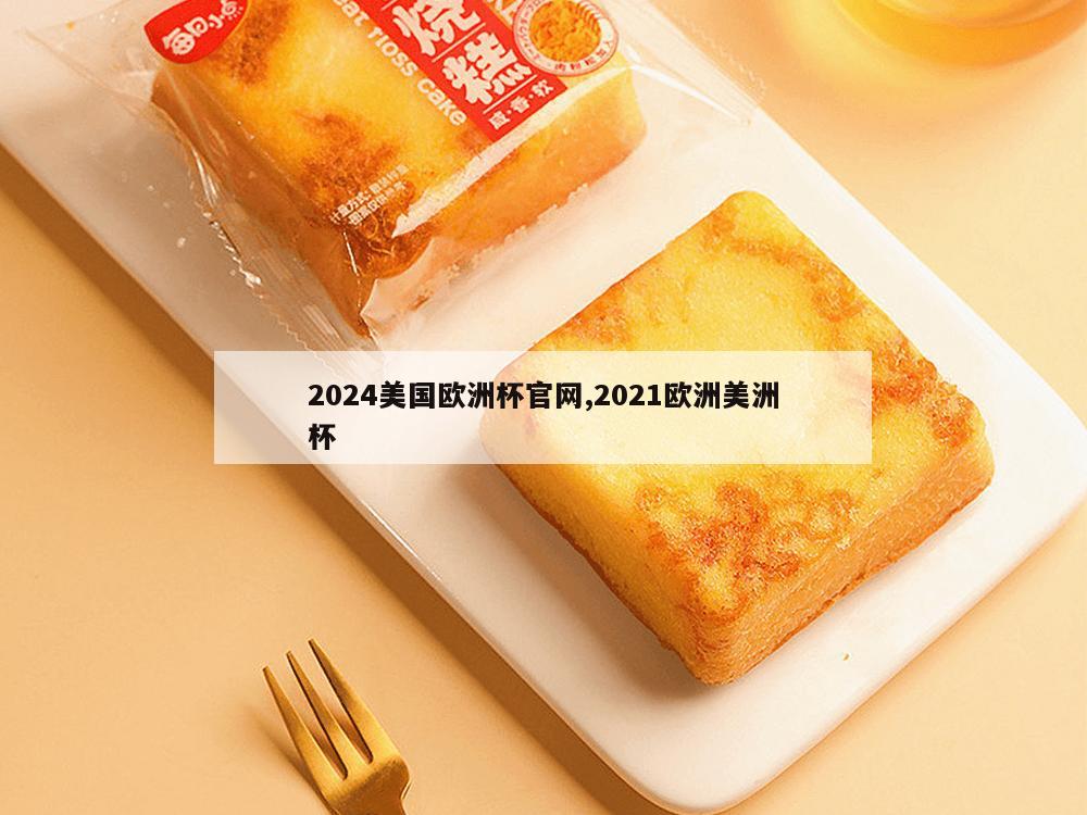 2024美国欧洲杯官网,2021欧洲美洲杯