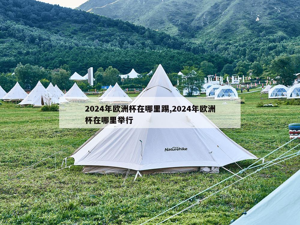 2024年欧洲杯在哪里踢,2024年欧洲杯在哪里举行