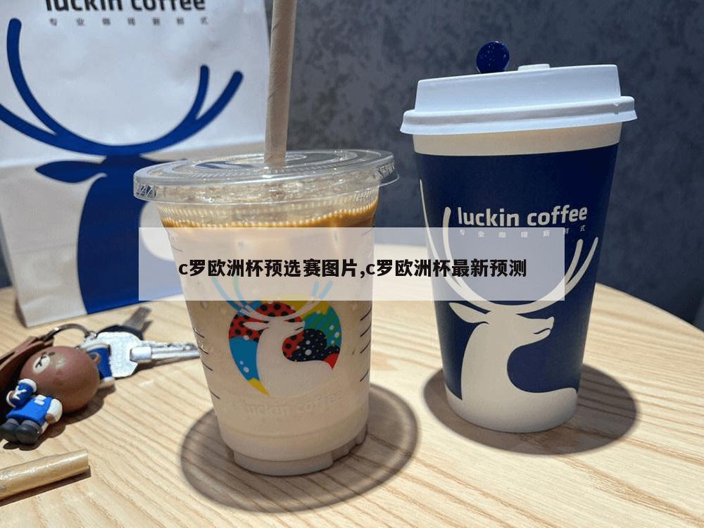 c罗欧洲杯预选赛图片,c罗欧洲杯最新预测