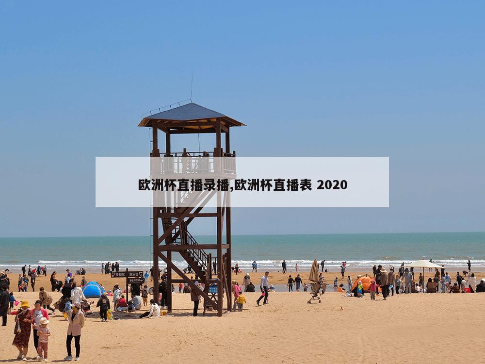 欧洲杯直播录播,欧洲杯直播表 2020